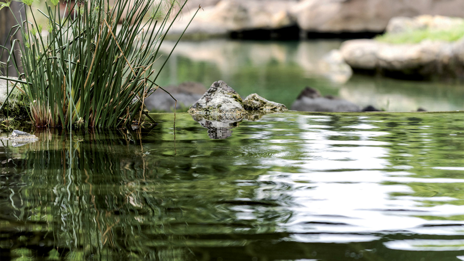 Ecoquartier des Côteaux de la Seille, quartier Tivoli, à Metz Queuleu